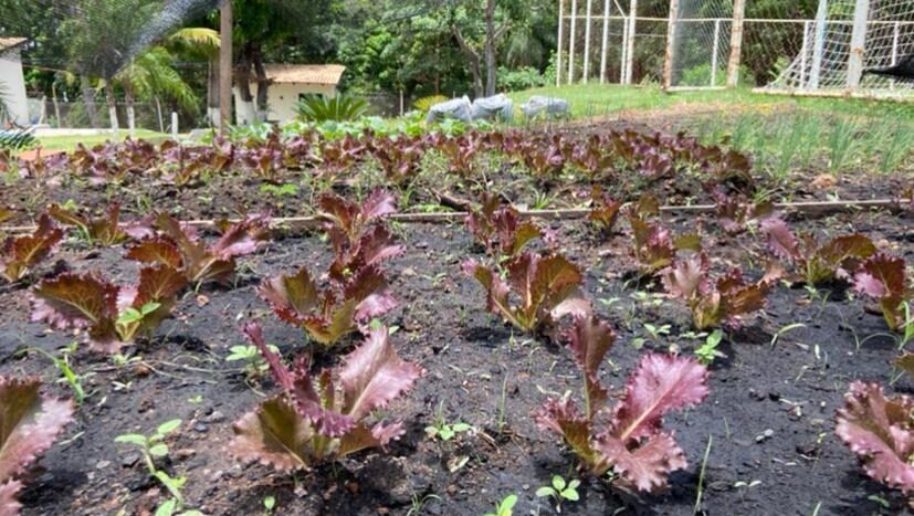 Clínica de Reabilitação e Tratamento Terapêutico em Coxipó da Ponte, Cuiabá – MT