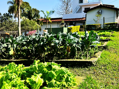 Clínica de Reabilitação e Tratamento Terapêutico em Itapecerica da Serra – SP