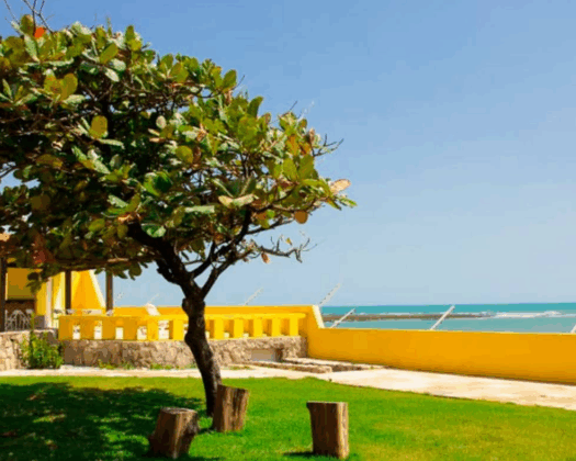 Clínica Revive | Internação, Recuperação e Reabilitação Terapêutica em Caucaia – CE