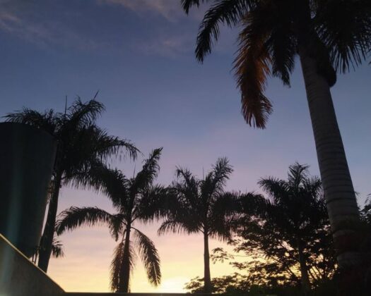 Clínica Fênix | Internação, Recuperação e Reabilitação Terapêutica em Montes Claros – MG