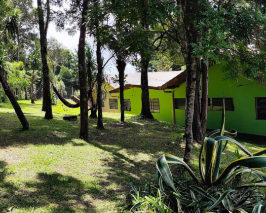 Clínica Celebrar | Internação, Recuperação e Reabilitação Terapêutica em Curitiba – PR