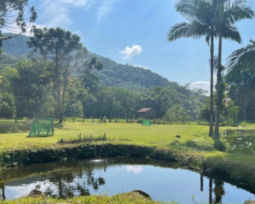 Clínica Vale da Luz | Internação, Recuperação e Reabilitação Terapêutica em Joinville – SC